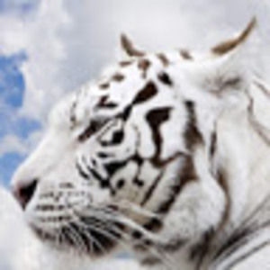 Meet your Posher, Emely